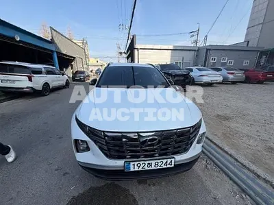 2023, Hyundai / Tucson, 35988 км., gas, 1600 куб.см.