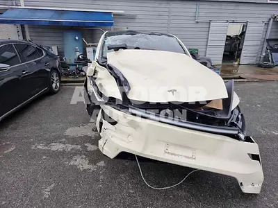 2025, Tesla / Model Y, VIN: LRWYGCFJ0SC214999, 16800 км., electric, 1 куб.см.