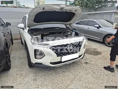 2019, Hyundai / Santa FE, VIN: KMHS381BBLU220503, 51262 км., diesel, 1995 куб.см.