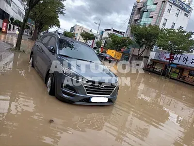 2020, Hyundai / Tucson, VIN: KMHJ3812GLU348326, 20000 км., gas