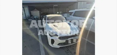 2019, Kia / Stinger, 75146 км., gas, 1998 куб.см.