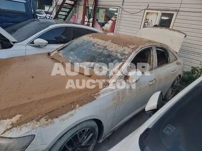 2021, Audi / A6, VIN: WAUZZZF23MN006262, 50000 км., diesel