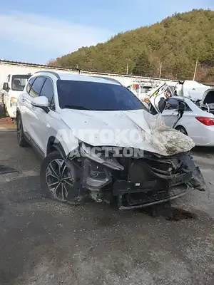 2018, Hyundai / Santa FE, VIN: KMHS281BDKU061175, diesel