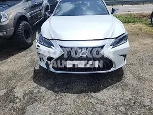 2022, Lexus / ES 300, 21893 км., hybrid, 2487 куб.см.
