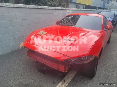 2019, Ford / Mustang, VIN: 1FA6P8TH0K5128076, 55970 км., gas