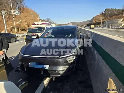 2025, Tesla / Model Y, electric