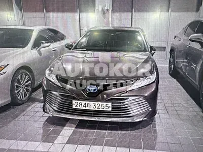 2020, Toyota / camry hybrid, VIN: JTNB21HKXL3073762, 50094 км., hybrid