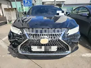 2019, Lexus / ES 300, 95000 км., hybrid