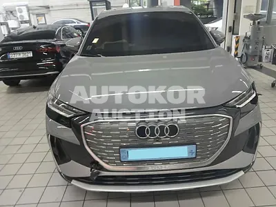 2022, Audi / e-tron, VIN: WAUZZZFZ4NP043484, 23894 км., electric, 1 куб.см.