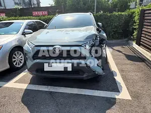 2019, Toyota / RAV4, VIN: JTMW1RFV7KD028100, 55000 км., gas