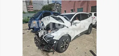 2024, Kia / Sportage, hybrid, 1600 куб.см.