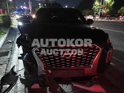 2019, Hyundai / Palisade, 133000 км., diesel, 2199 куб.см.