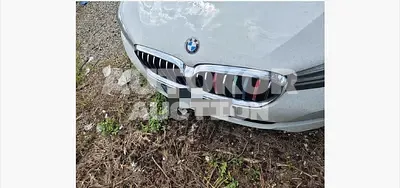 2020, BMW / 523, 173650 км., diesel, 1995 куб.см.