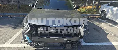 2024, Kia / Sportage, hybrid, 1600 куб.см.