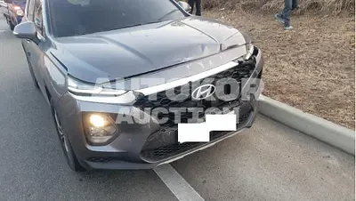 2019, Hyundai / Santa FE, VIN: KMHS281BBKU107541, 110370 км., diesel