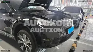 2022, Tesla / Model Y, VIN: 7SAYGDEE0NF499839, electric
