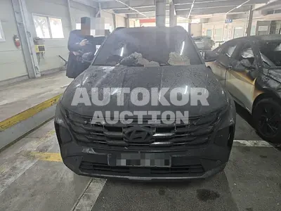 2024, Hyundai / Tucson, diesel, 2000 куб.см.