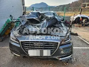 2019, Genesis / G80, VIN: KMHGM41DDLU340860, gas