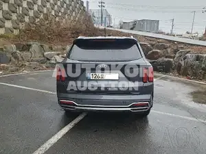 2021, Kia / Sorento, VIN: KNARL81BGMA097542, diesel