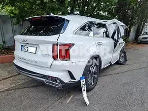 2021, Kia / Sorento, VIN: NAARK81GBNA070193, hybrid