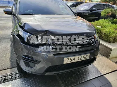 2017, Land Rover / Discovery Sport, VIN: SALCA2BN5HH665643, 82138 км., diesel
