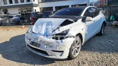 2024, Tesla / Model Y, 500000 км., electric, 173 куб.см.