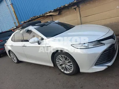 2018, Toyota / Camry, VIN: JTNB21HK9K3021361, hybrid