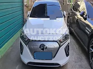 2019, Hyundai / Ioniq, electric