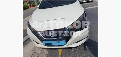 2019, Nissan / Leaf, 129368 км., electric, 110 куб.см.