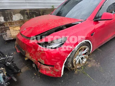 2021, Tesla / Model Y, VIN: 5YJYGDEE0MF236438, 50091 км., electric