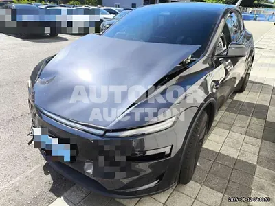2026, Tesla / Model Y, 40000 км., electric