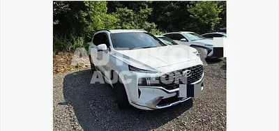 2020, Hyundai / Santa FE, 88300 км., diesel, 2200 куб.см.