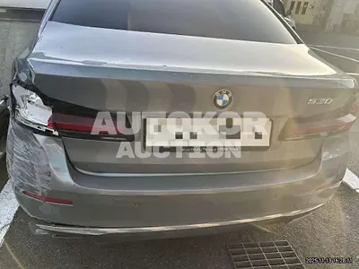 2023, BMW / 530, 44849 км., gas