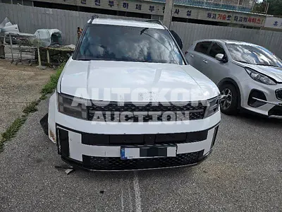 2024, Hyundai / Santa FE, 33351 км., gas, 2500 куб.см.