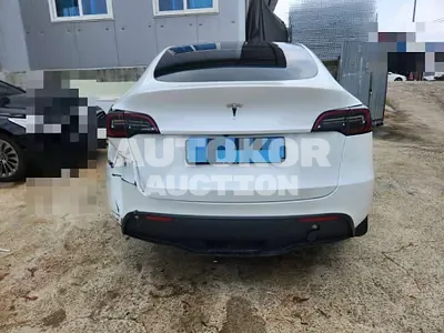 2023, Tesla / Model Y, electric
