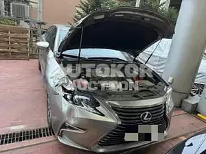 2017, Lexus / ES 300, hybrid