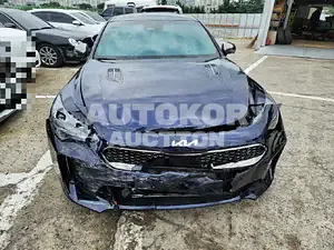 2021, Kia / Stinger, VIN: KNAE351DDMS096862, 15233 км., gas, 3342 куб.см.