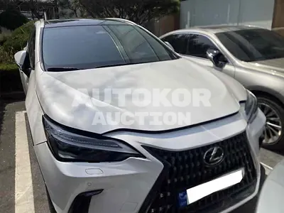 2023, Lexus / nx350h, VIN: JTJHKAEZ4R2024231, 50141 км., hybrid, 2487 куб.см.