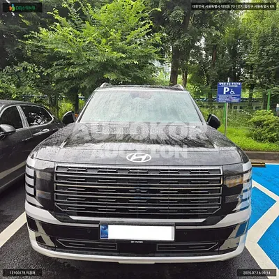2025, Hyundai / Palisade, VIN: KMHRK81ADTU015392, hybrid