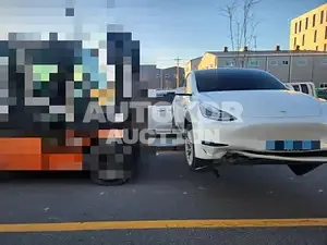 2021, Tesla / Model 3, electric