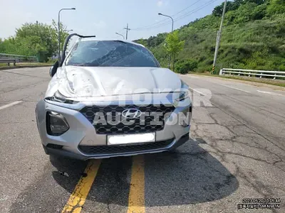 2020, Hyundai / Santa FE, VIN: KMHS281BBLU260869, diesel