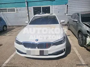 2019, BMW / 520, VIN: WBAJK7107KGL29355, 25000 км., gas