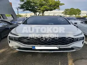 2020, Hyundai / Santa FE, VIN: KMHS581HGMU324857, diesel