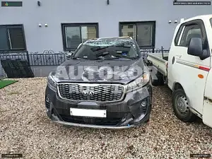 2019, Kia / Sorento, VIN: KNAPG81ABKA544542, diesel
