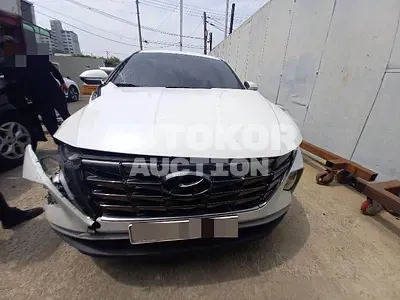 2023, Hyundai / Tucson, 189478 км., hybrid, 1600 куб.см.