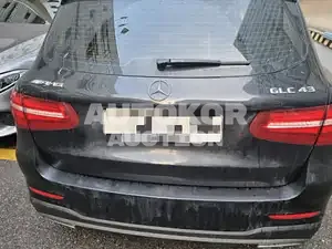 2017, Mercedes-Benz / GLC 43, VIN: WDC0G6EBXHF277072, 228059 км., gas