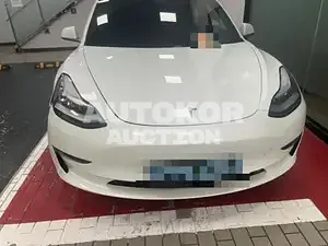 2019, Tesla / Model 3, VIN: 5YJ3E1EB0LF585716, electric