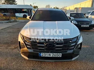 2026, Hyundai / Tucson, VIN: KMHJB81BGTU443593, 12886 км., gas, 1600 куб.см.
