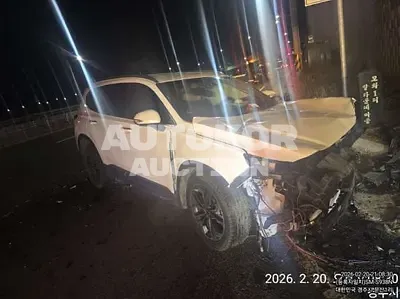 2020, Hyundai / Santa FE, VIN: KMHS381ABLU238587, 55552 км., gas, 2000 куб.см.