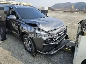 2022, Hyundai / Santa FE, VIN: KMHS381HGNU432850, 30000 км., diesel, 2151 куб.см.